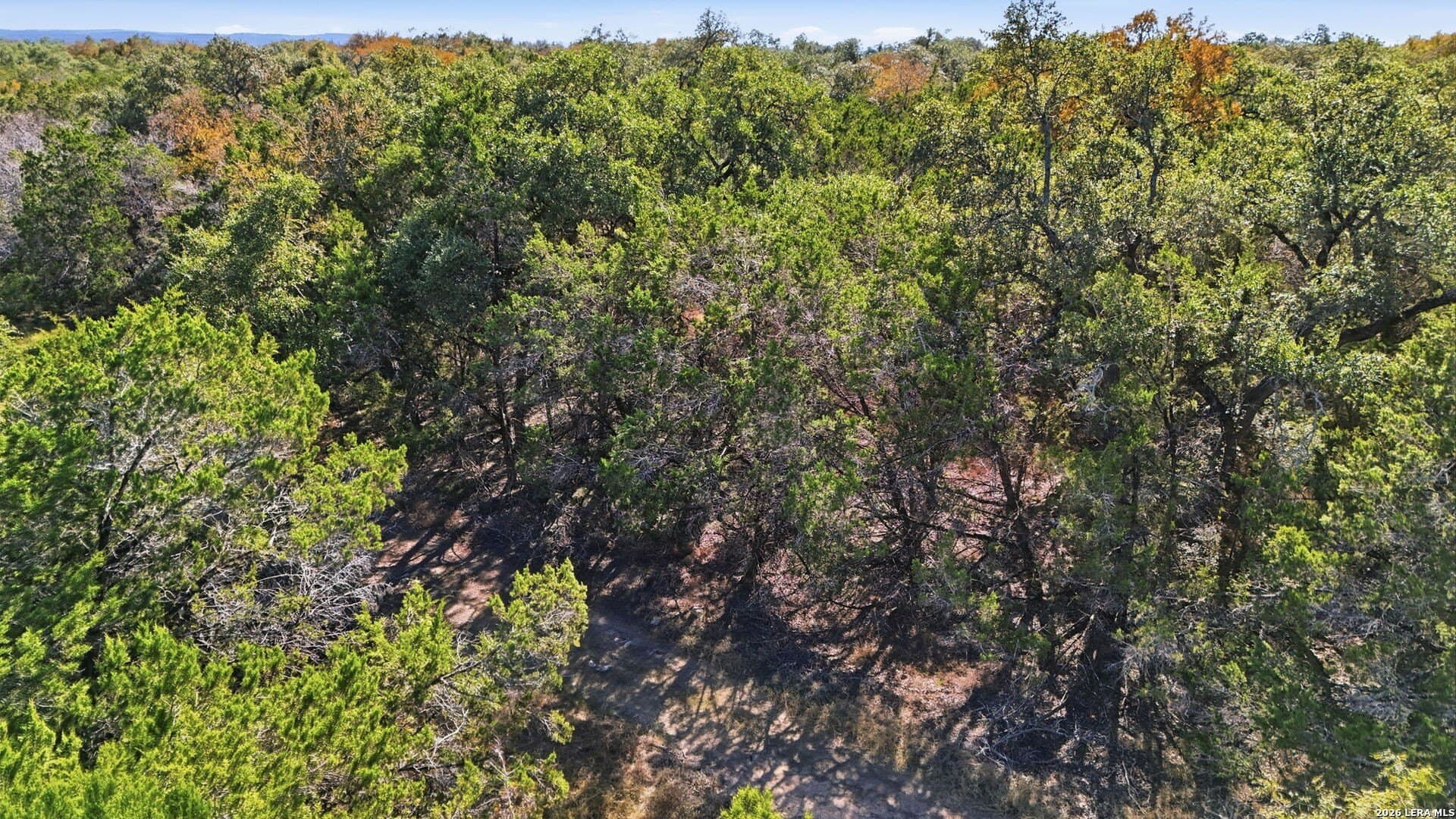 0.26 acres in Comal County - photo 13