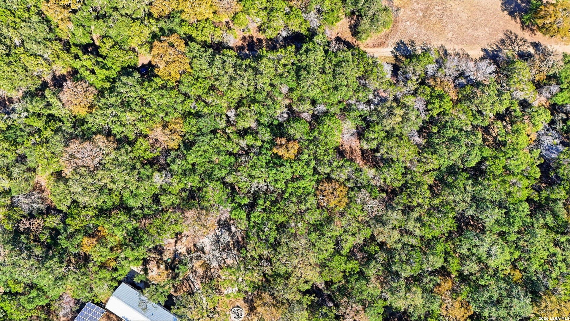 0.26 acres in Comal County - photo 4