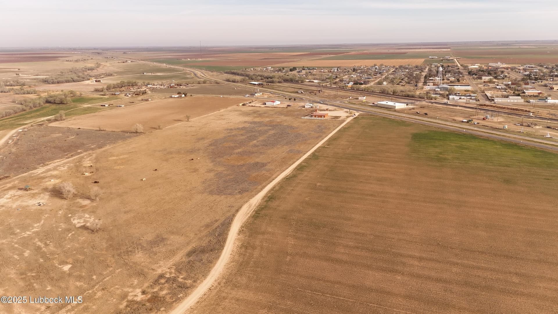 19.2 acres in Hockley County gallery image 3