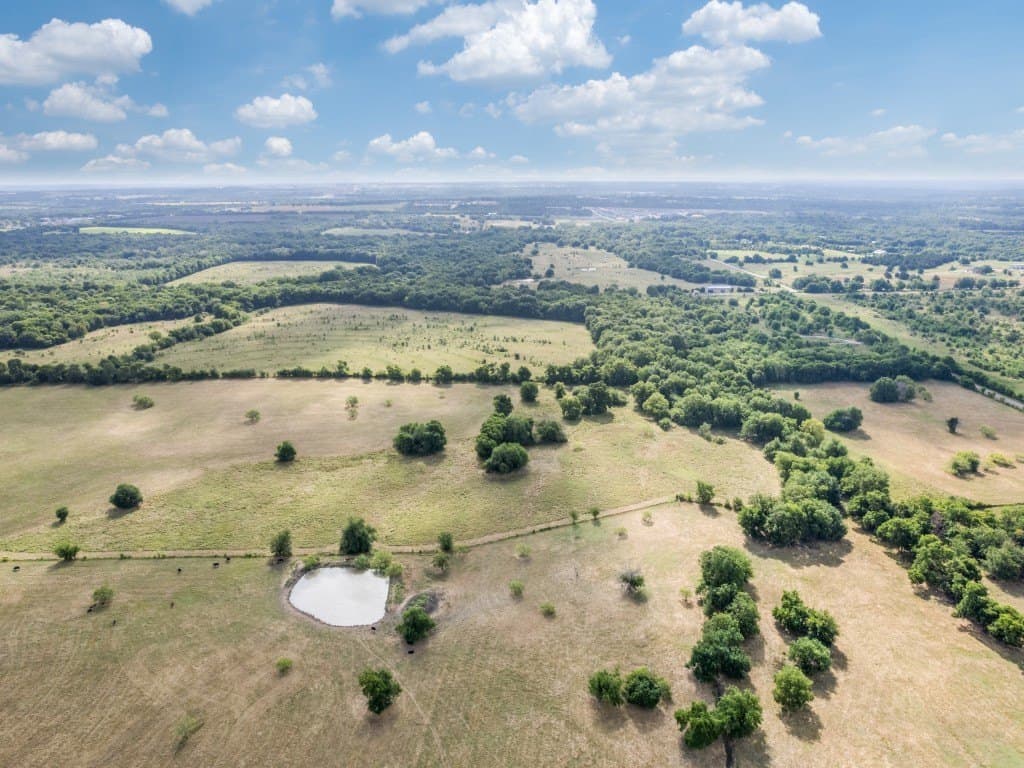 283.99 acres in Grayson County gallery image 2