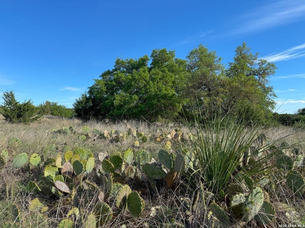 125 acres in Kerr County - photo 17