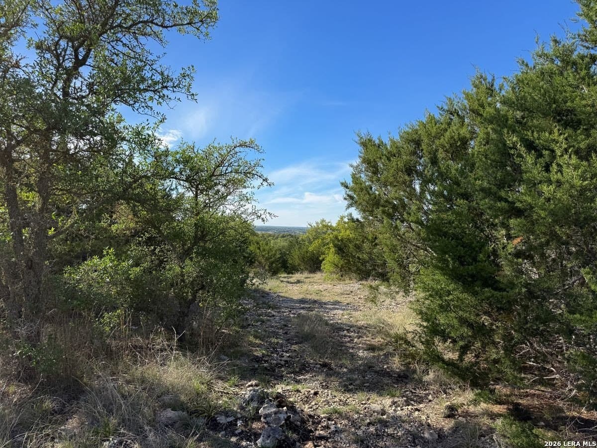 125 acres in Kerr County - photo 19