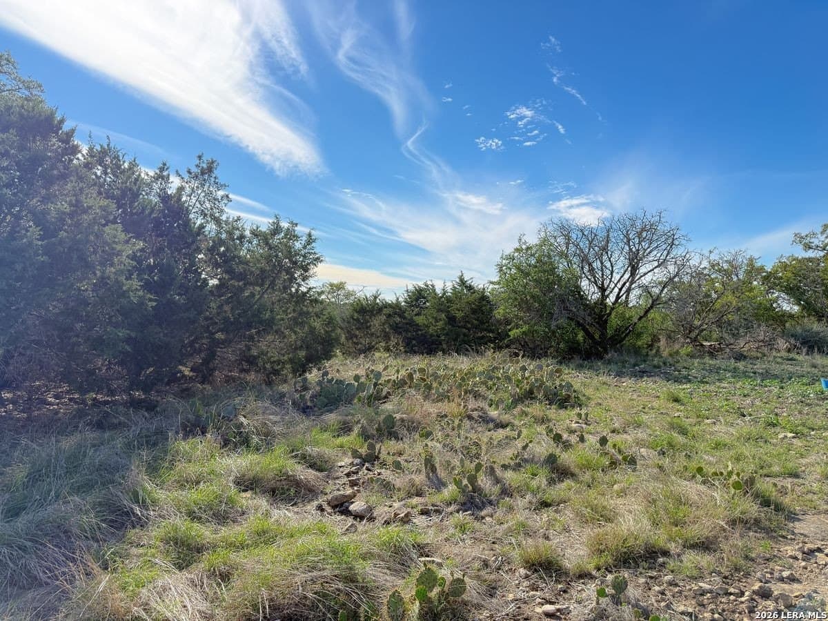 125 acres in Kerr County - photo 22