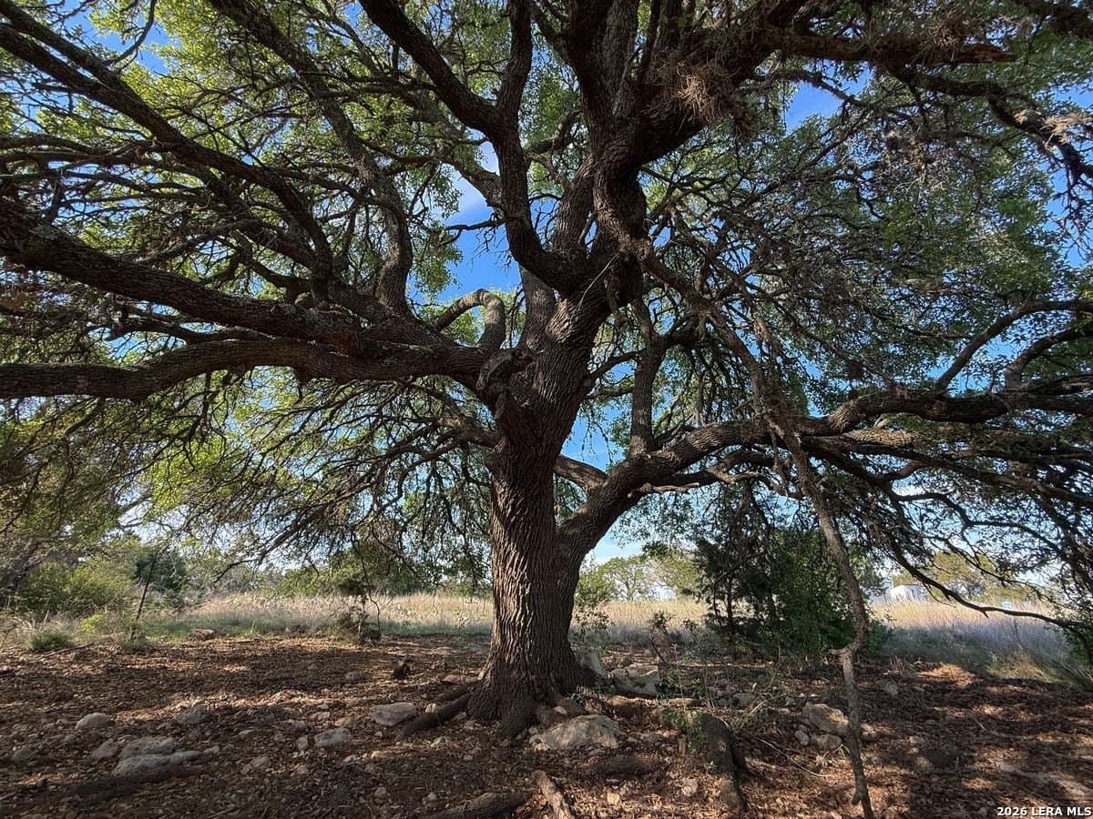 125 acres in Kerr County - photo 9