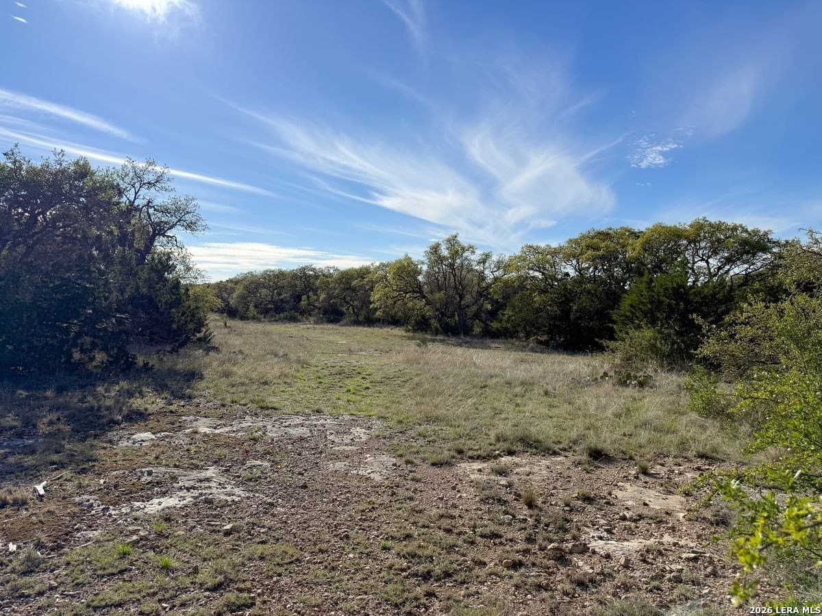 125 acres in Kerr County gallery image 2