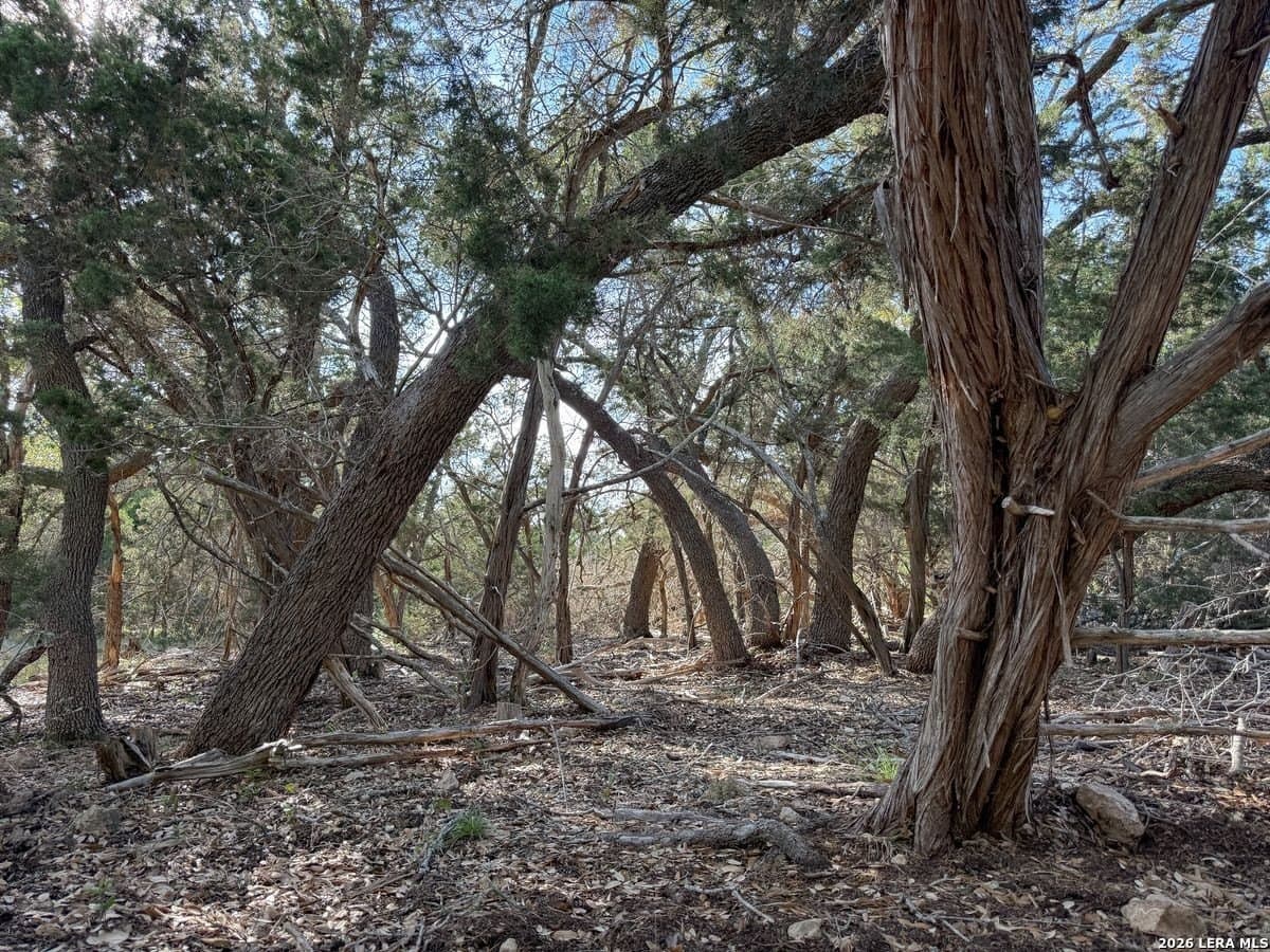 125 acres in Kerr County - photo 18