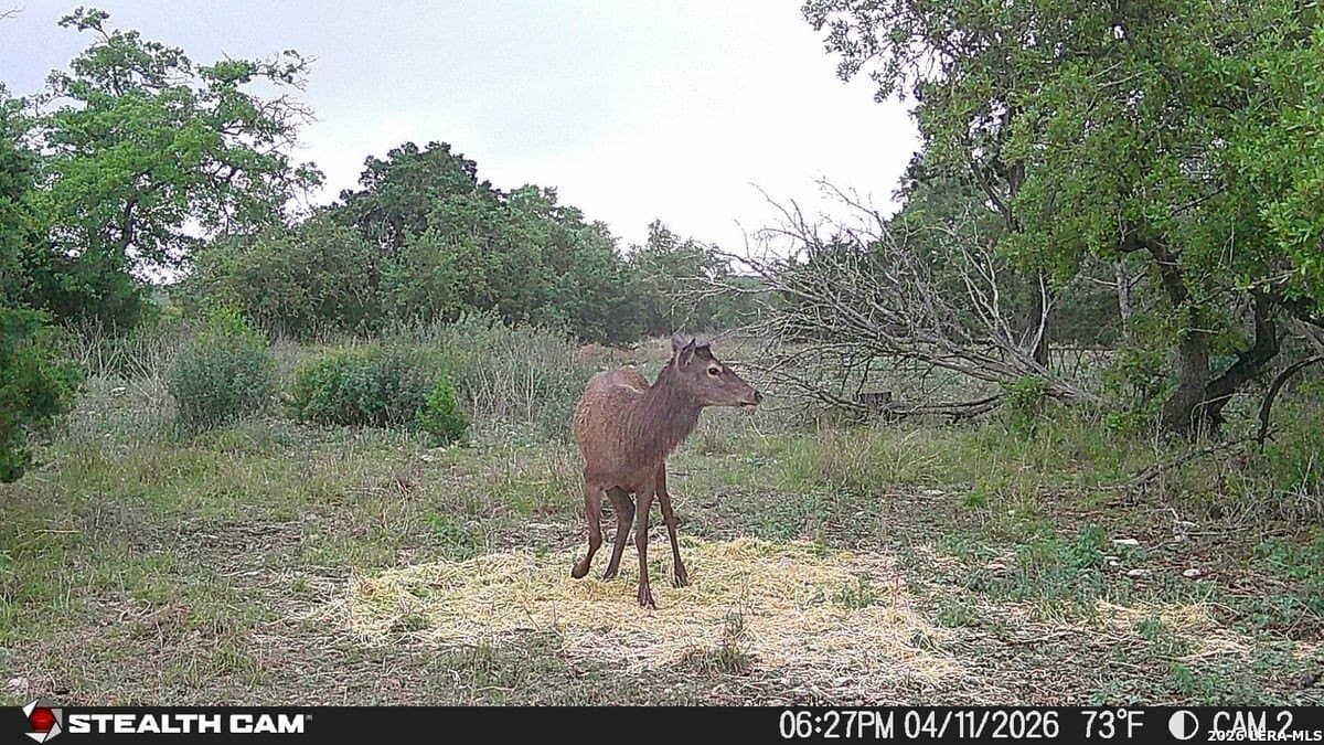 125 acres in Kerr County featured view