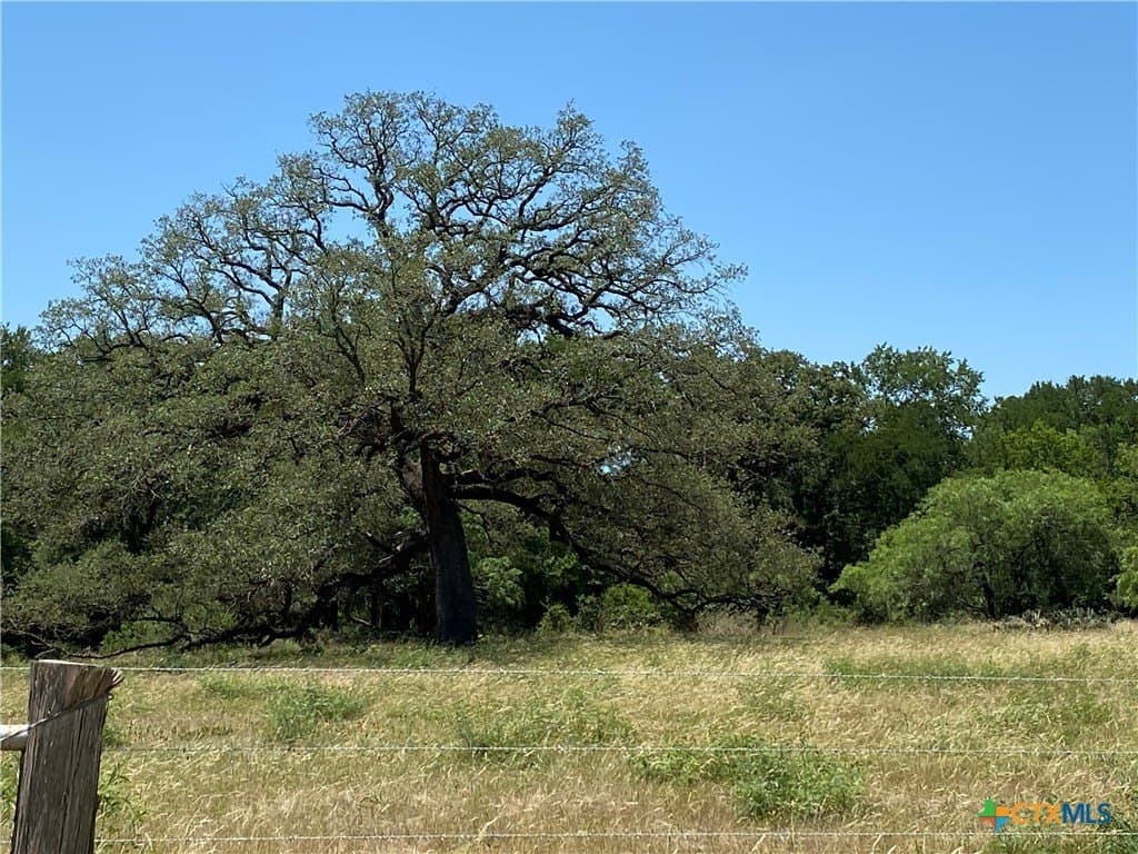 64.5 acres in Caldwell County - photo 29