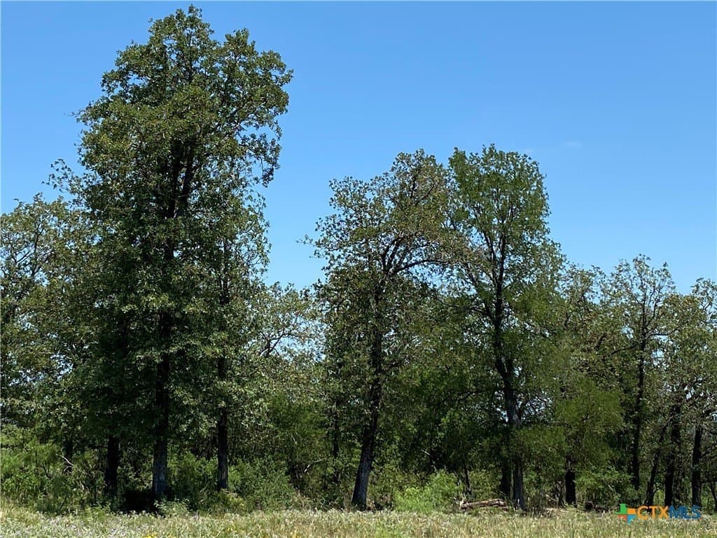 64.5 acres in Caldwell County - photo 22