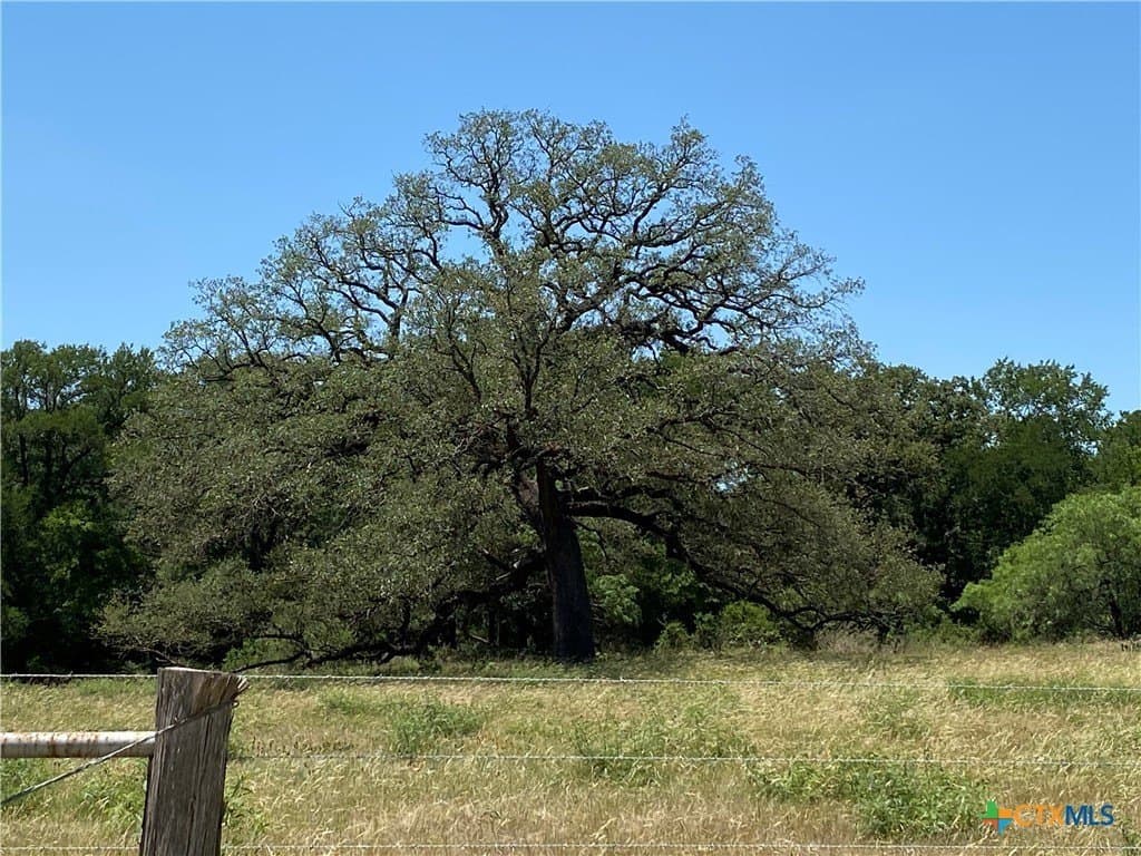 64.5 acres in Caldwell County - photo 30