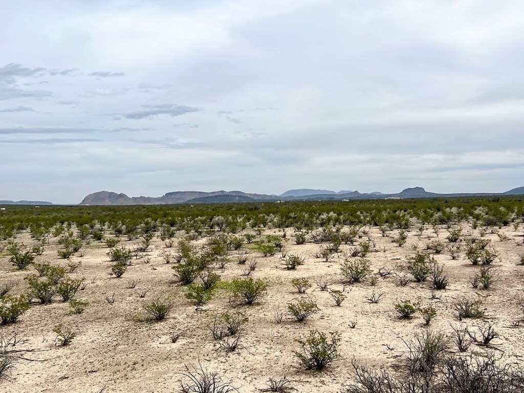 5 acres in Brewster County - photo 7