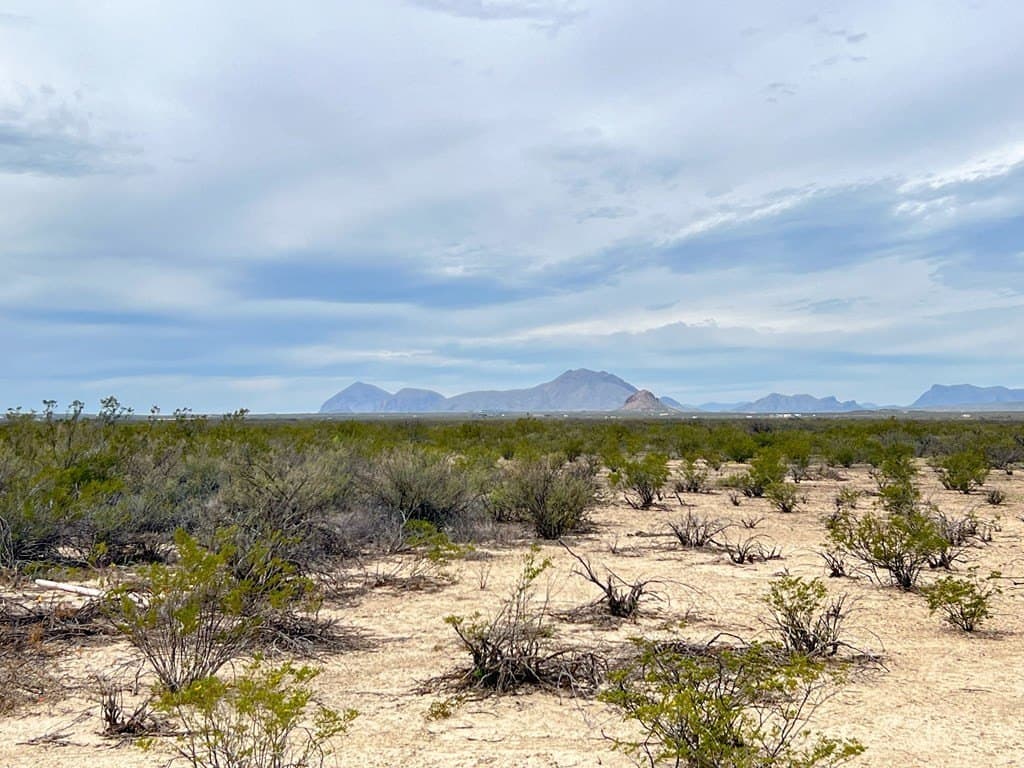 5 acres in Brewster County - photo 15