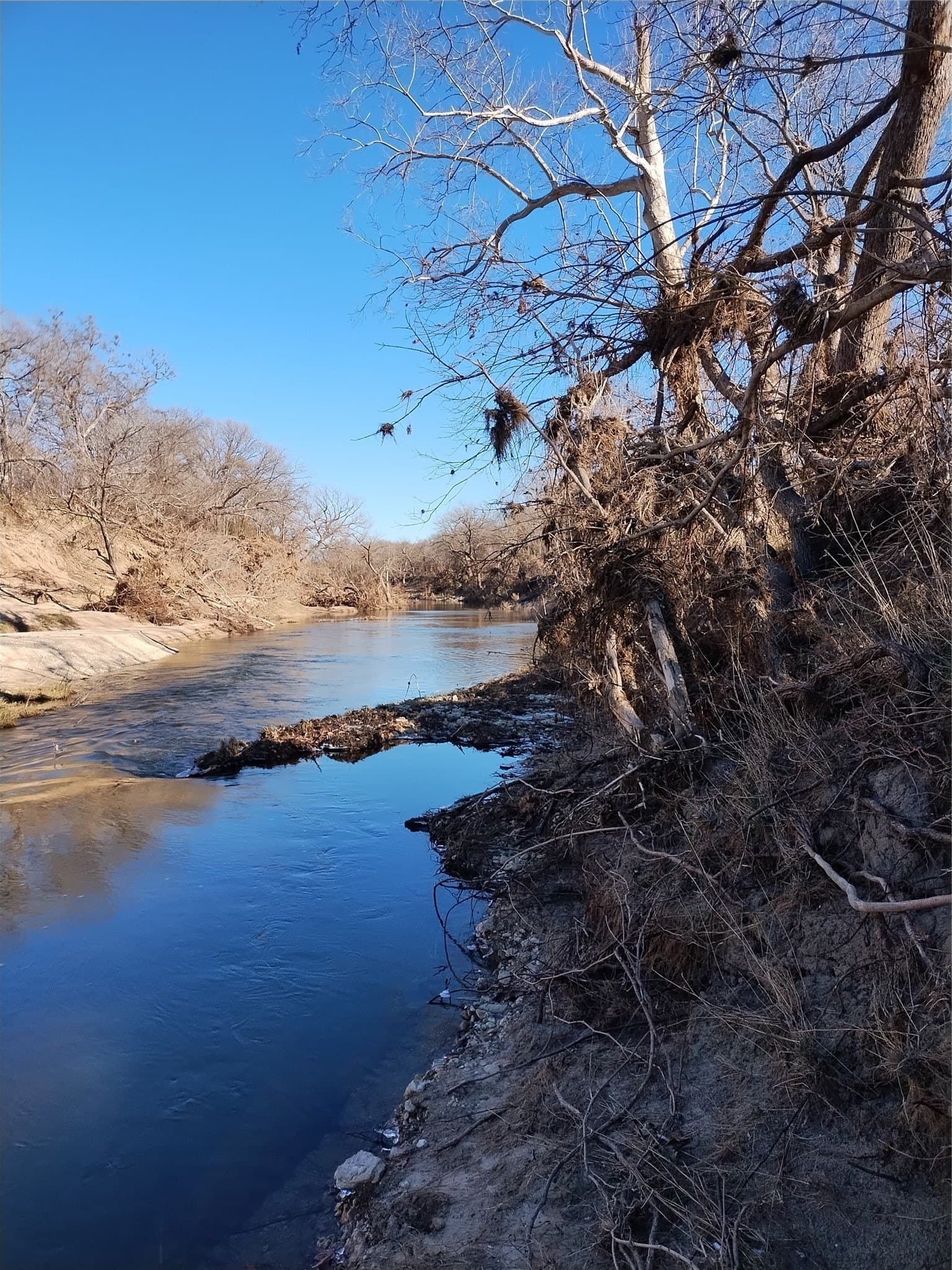 1.63 acres in Bosque County - photo 8