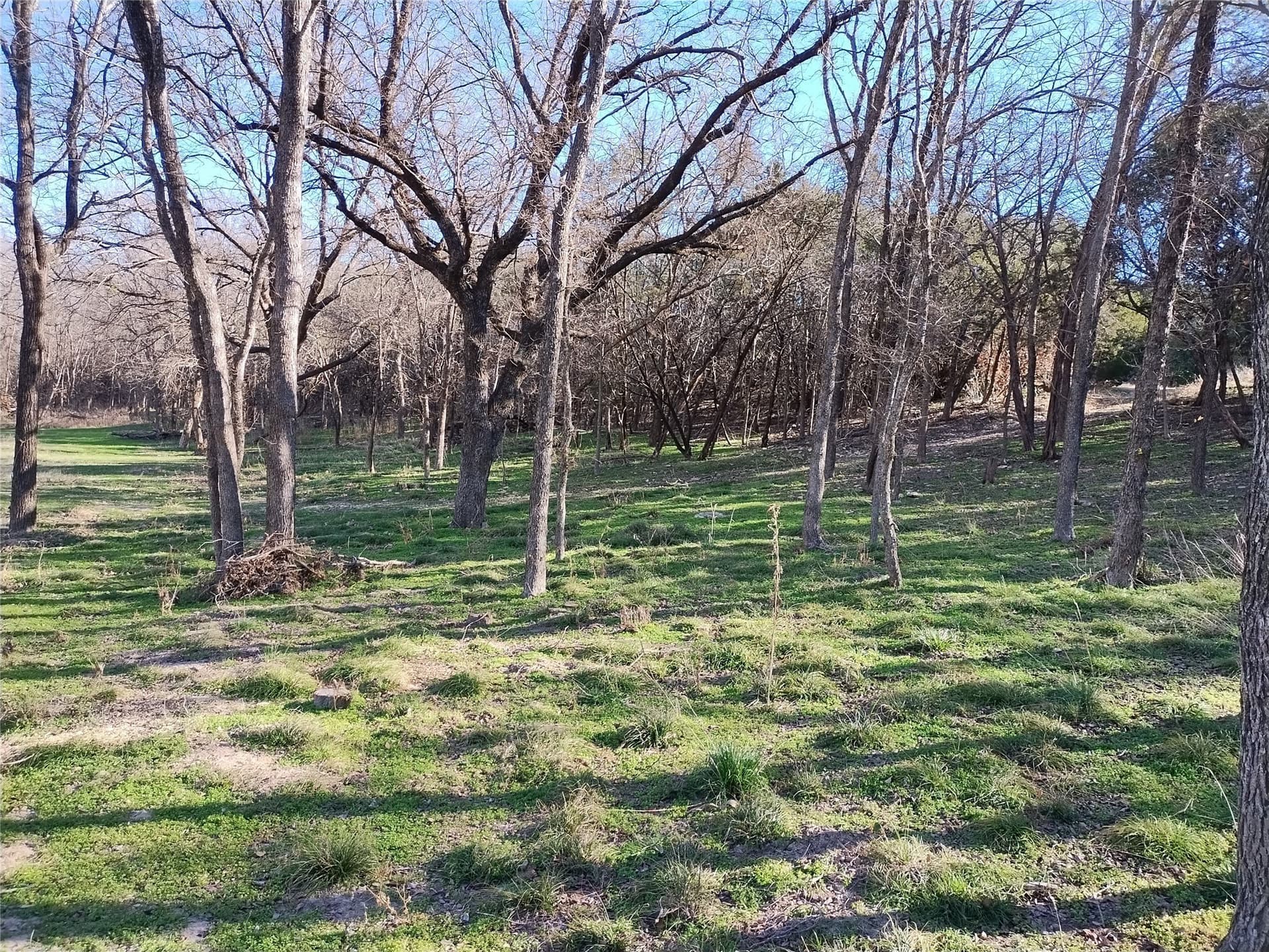 1.63 acres in Bosque County - photo 4