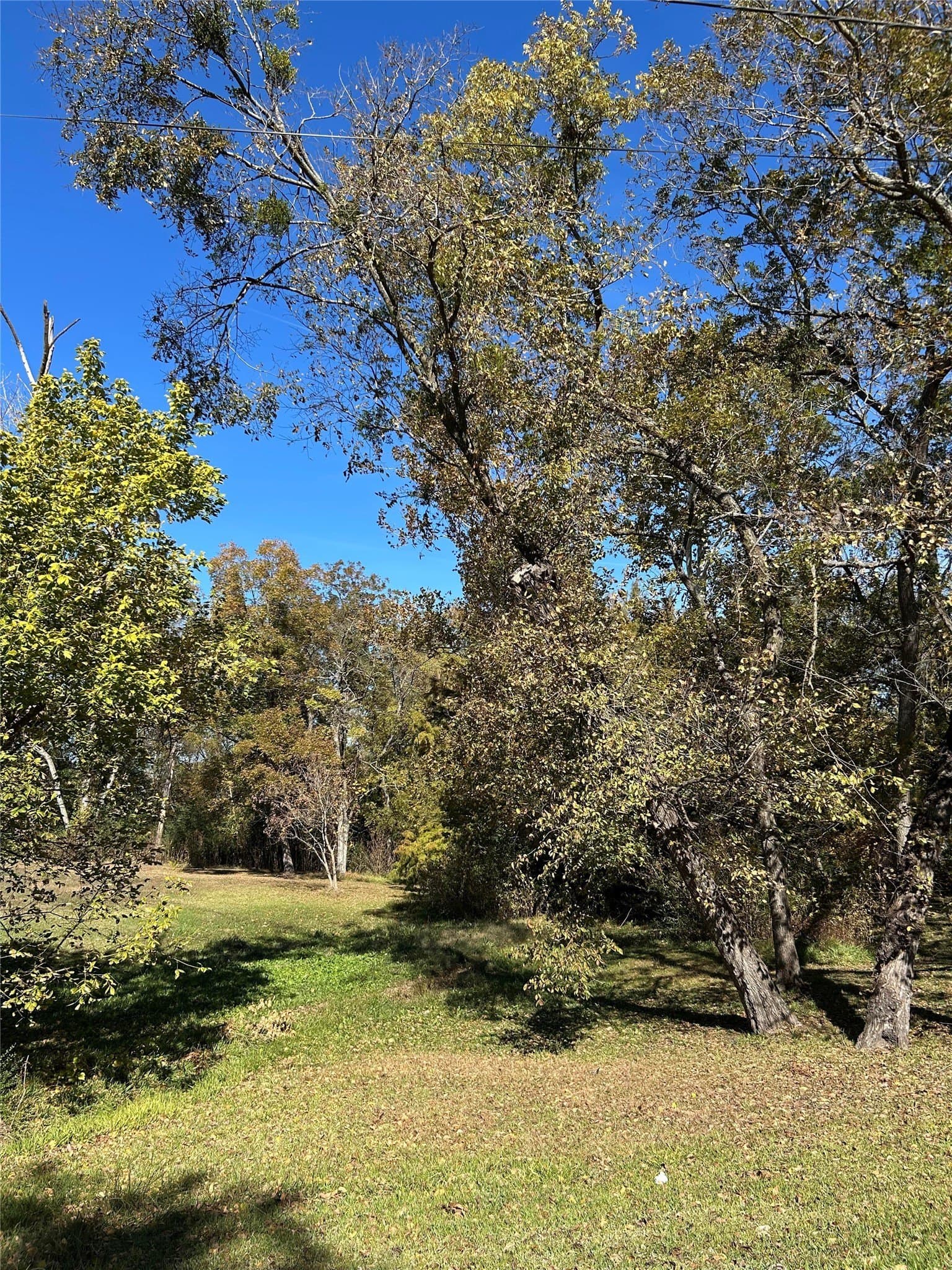 0.59 acres in Franklin (TX) County - photo 6