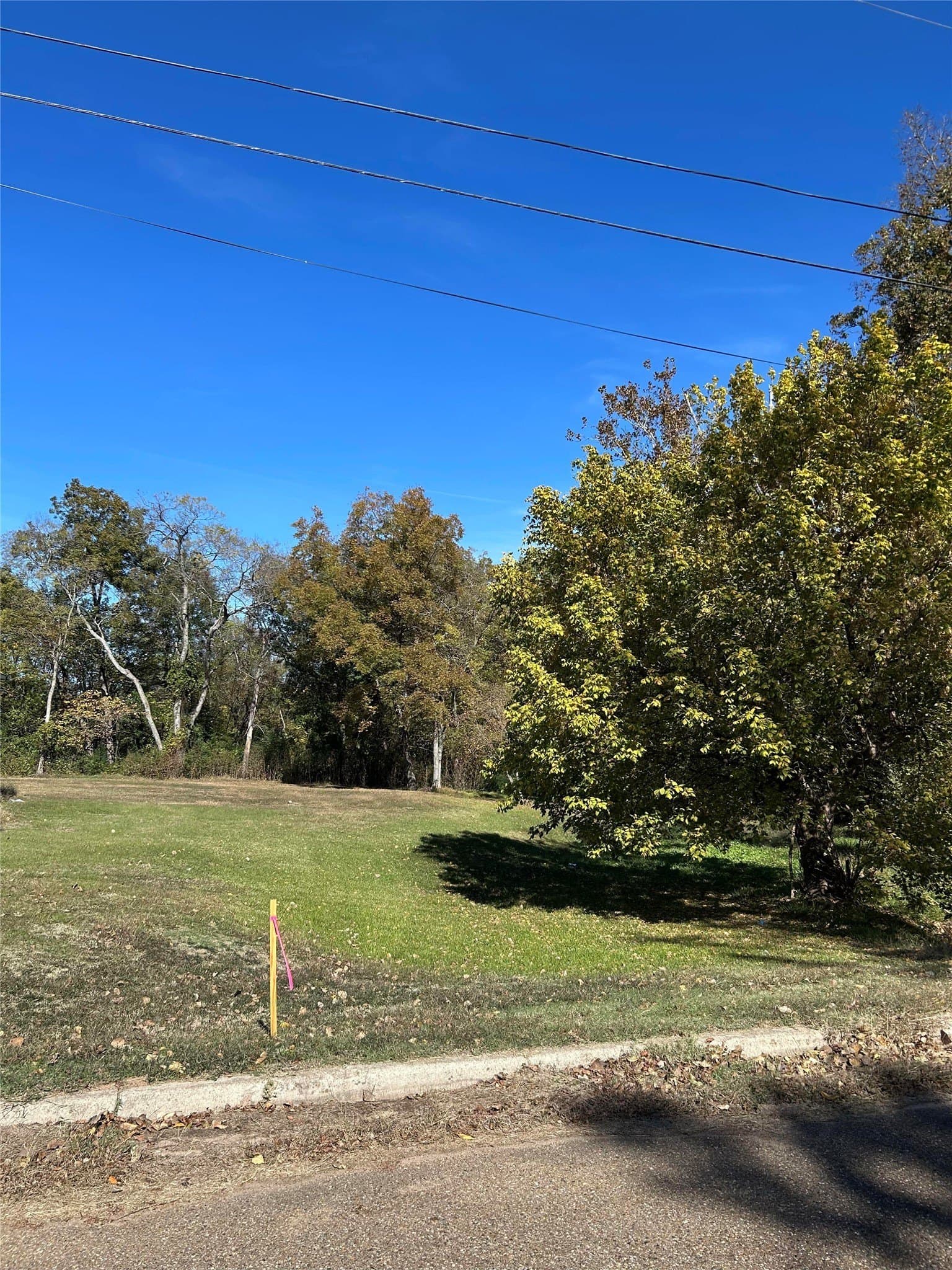 0.59 acres in Franklin (TX) County - photo 5