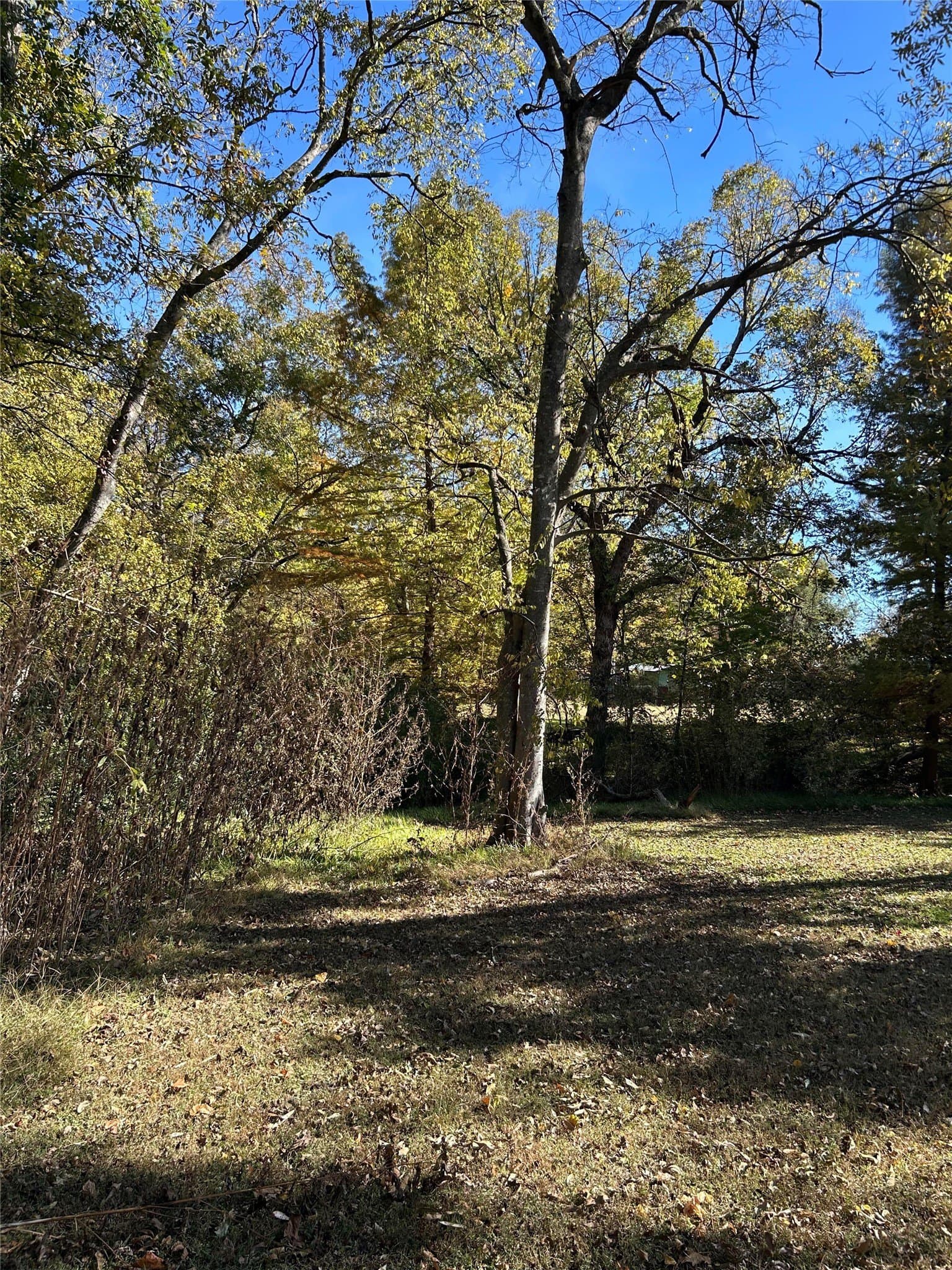 0.59 acres in Franklin (TX) County - photo 4