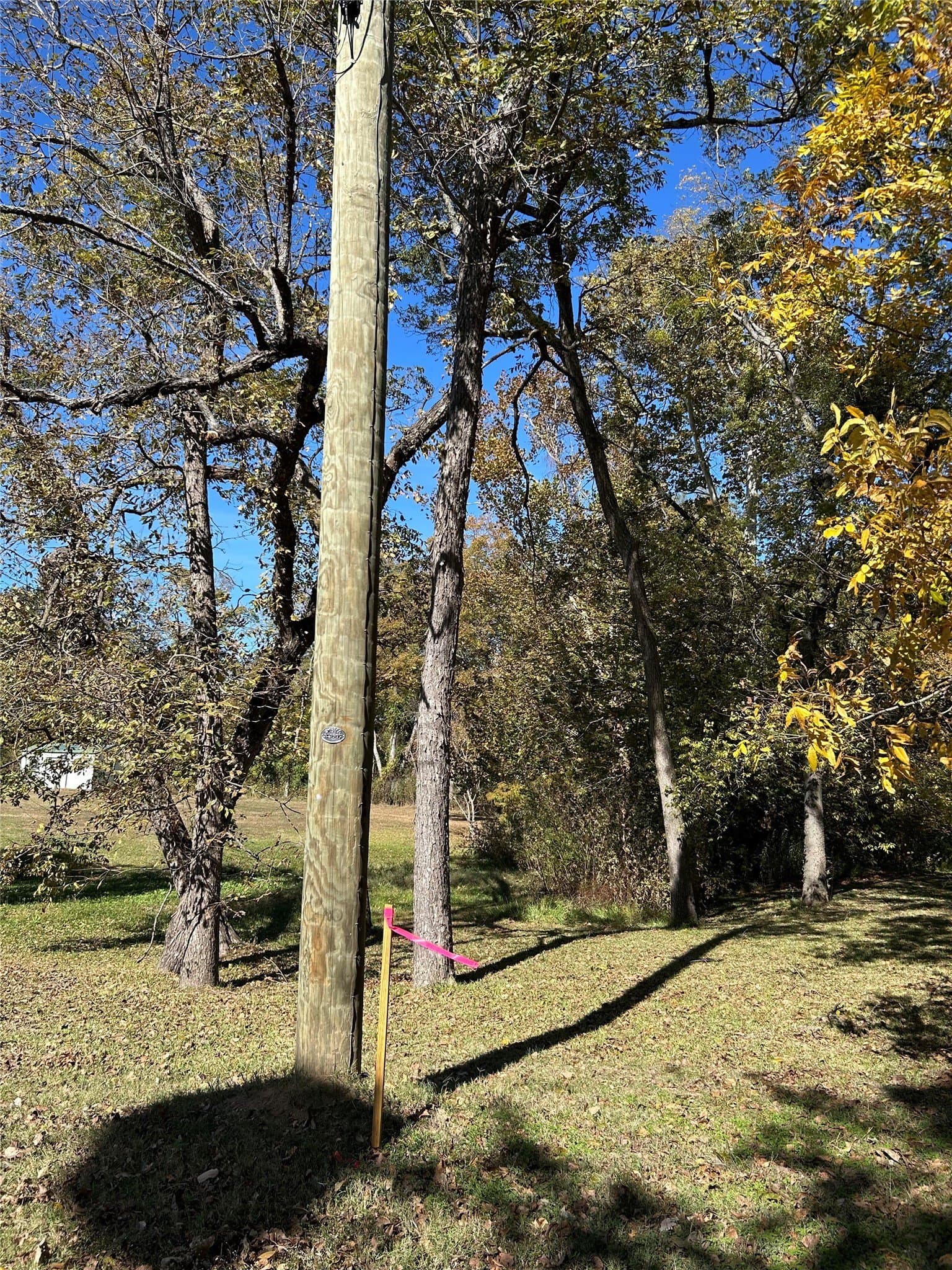 0.59 acres in Franklin (TX) County - photo 2