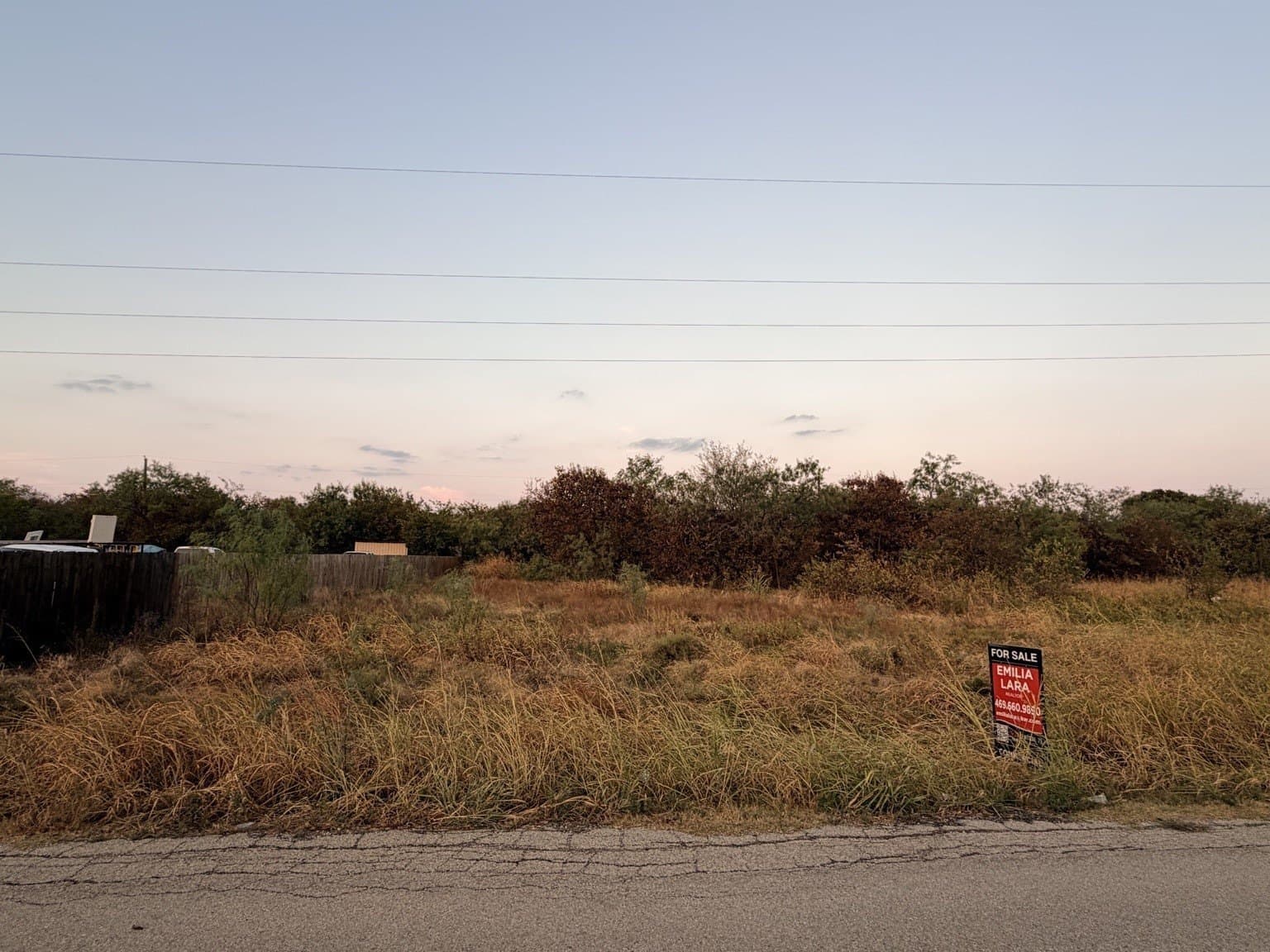 0.3 acres in Dallas County - photo 2