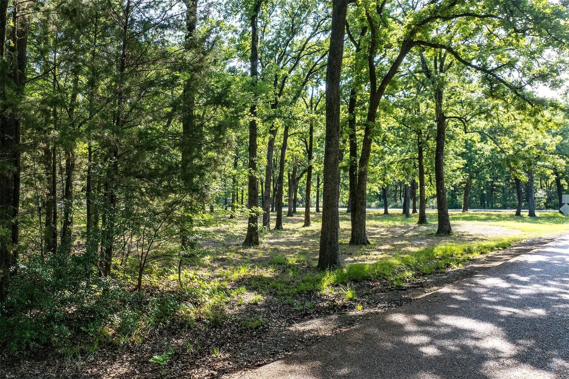 1 acres in Henderson County - photo 7