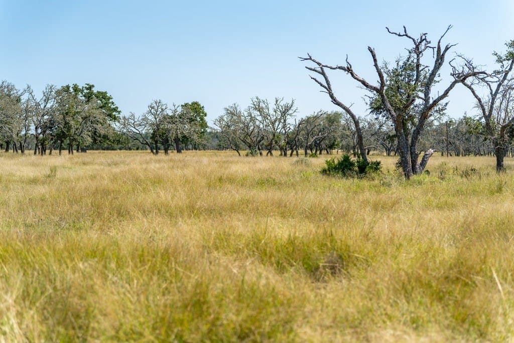 5.44 acres in Gillespie County - photo 18