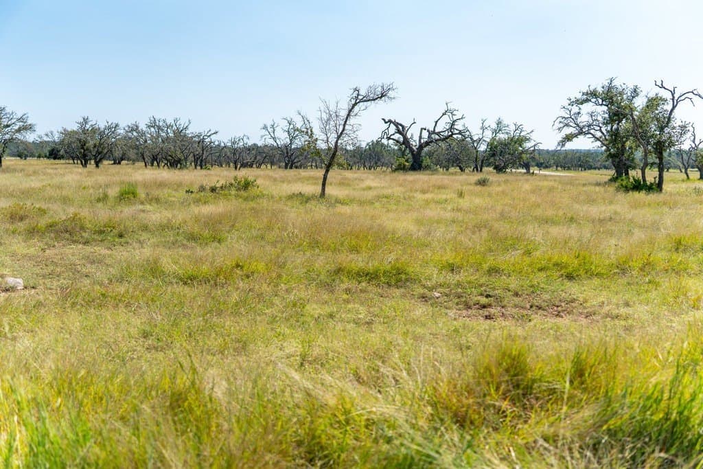 5.44 acres in Gillespie County - photo 20