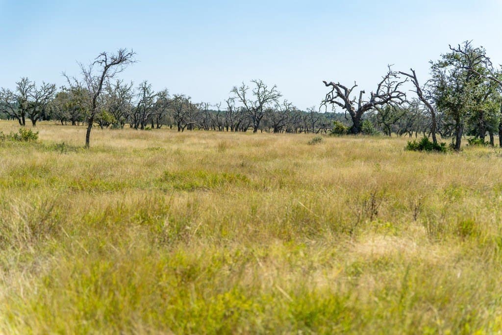 5.44 acres in Gillespie County - photo 19