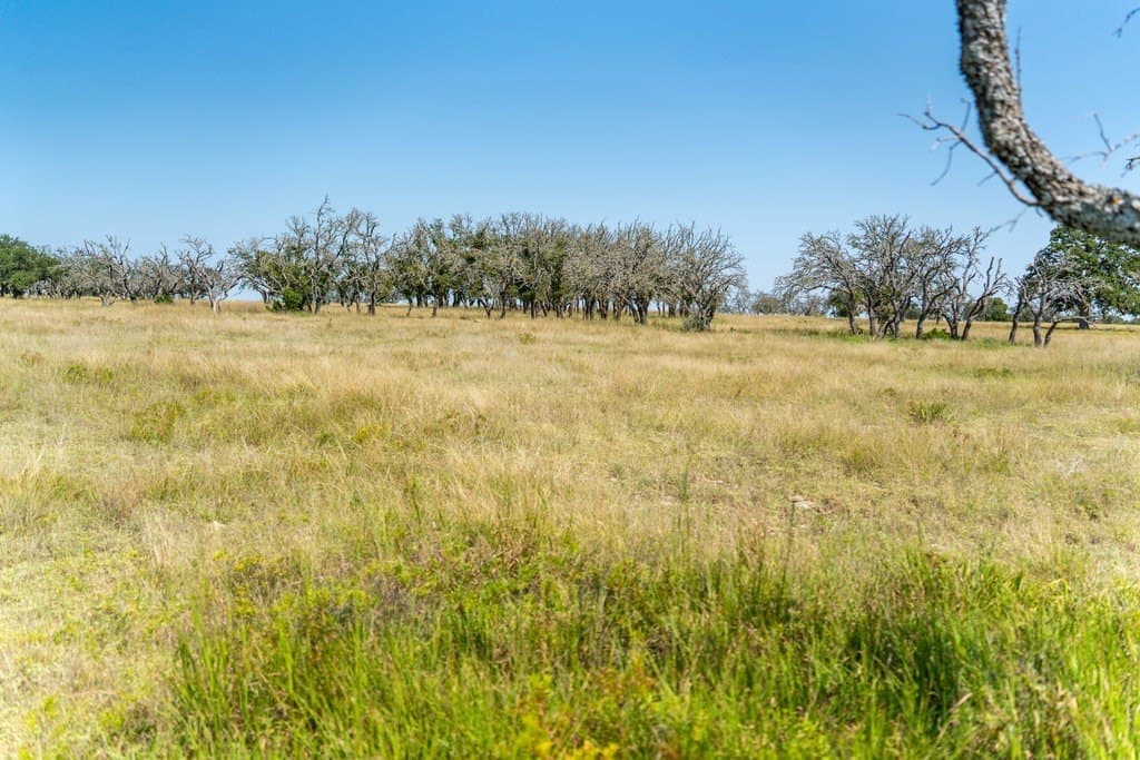 5.44 acres in Gillespie County - photo 15