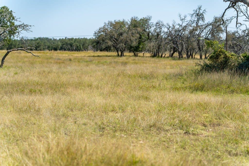 5.44 acres in Gillespie County - photo 16