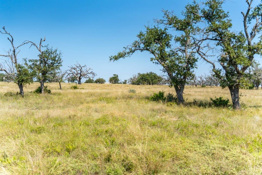 5.44 acres in Gillespie County - photo 17
