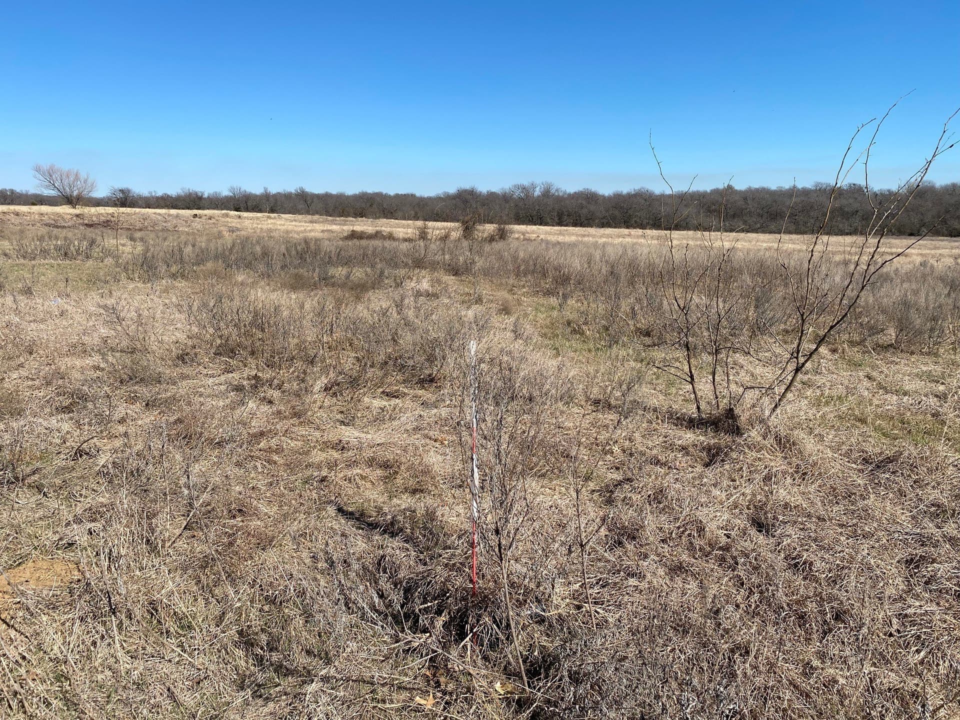 3.61 acres in Navarro County gallery image 4