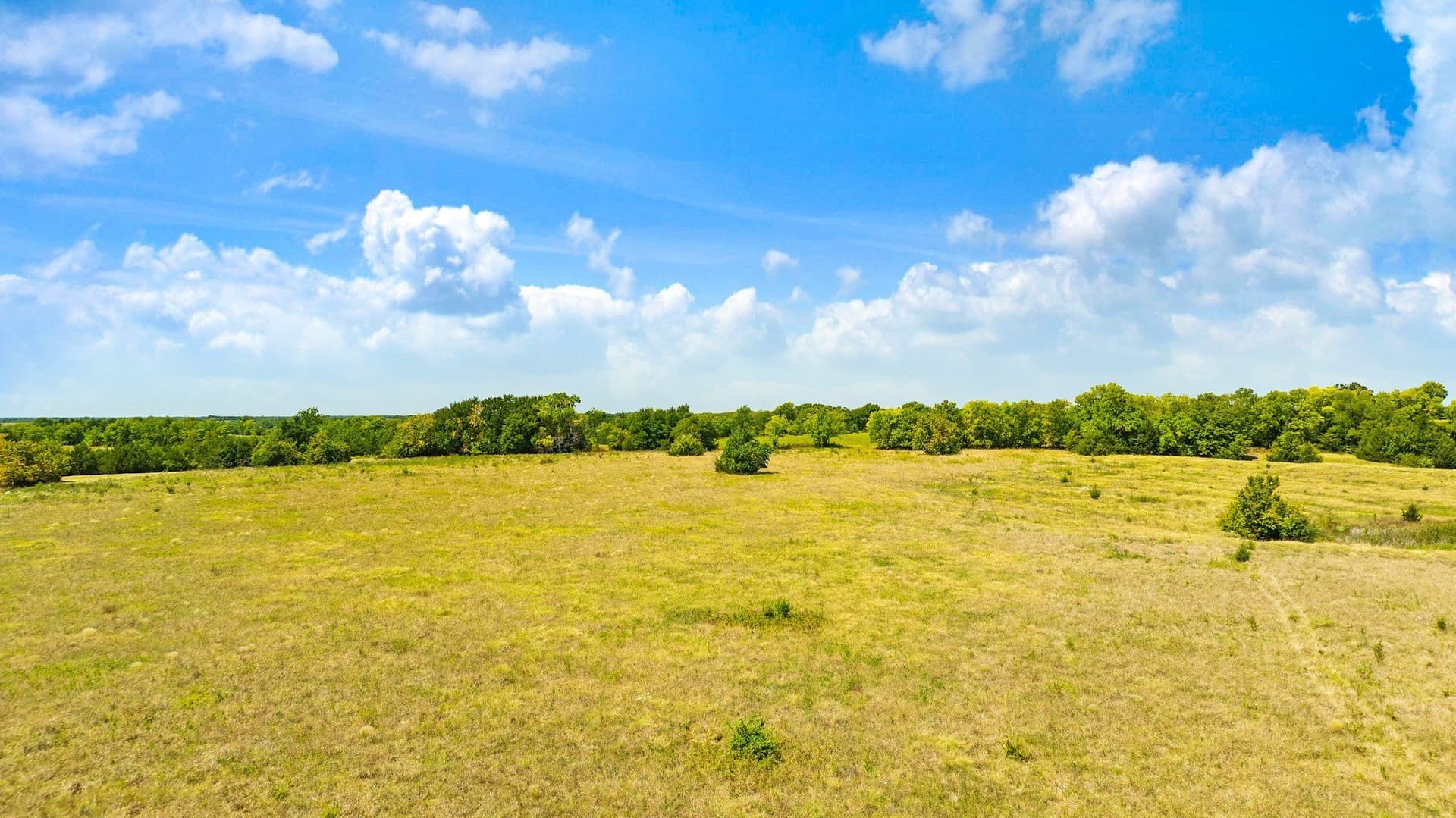 10 acres in Lamar County - photo 6