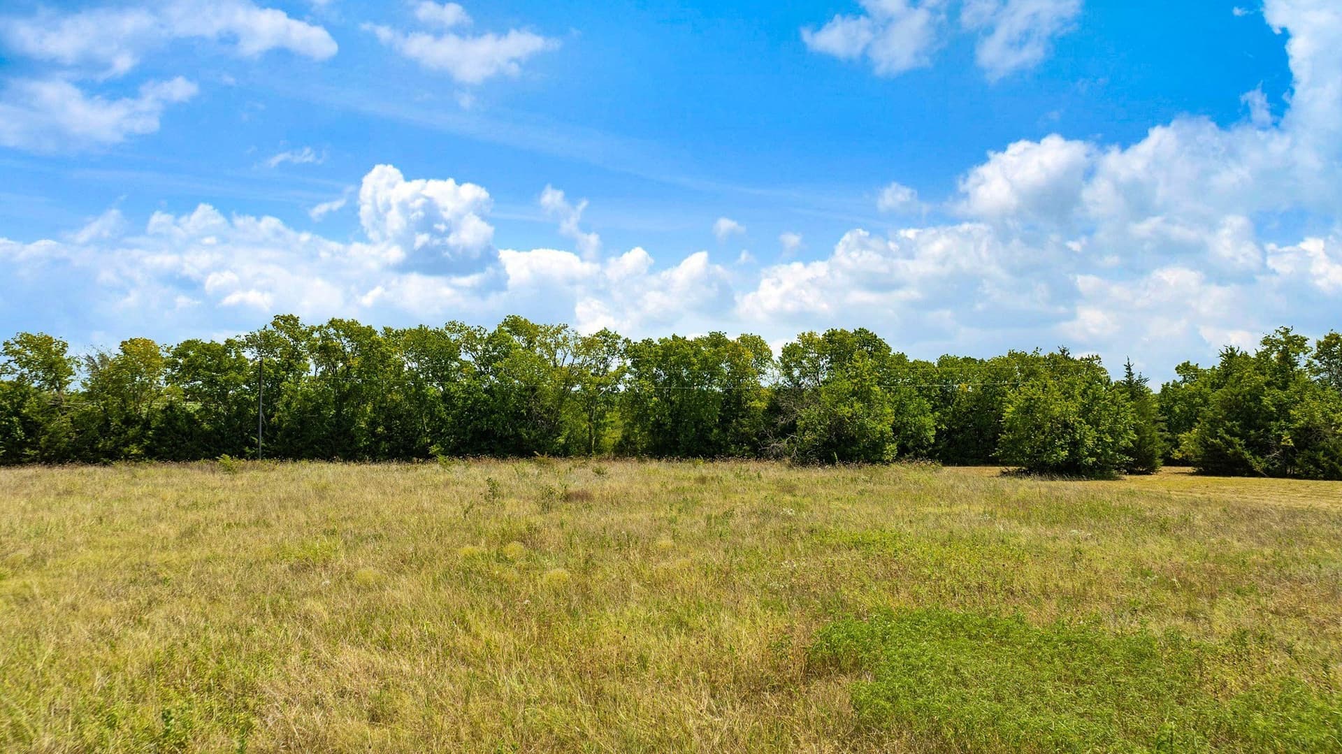 10 acres in Lamar County - photo 8