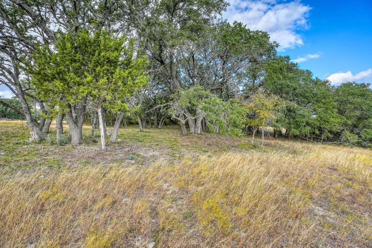55 acres in Burnet County gallery image 3