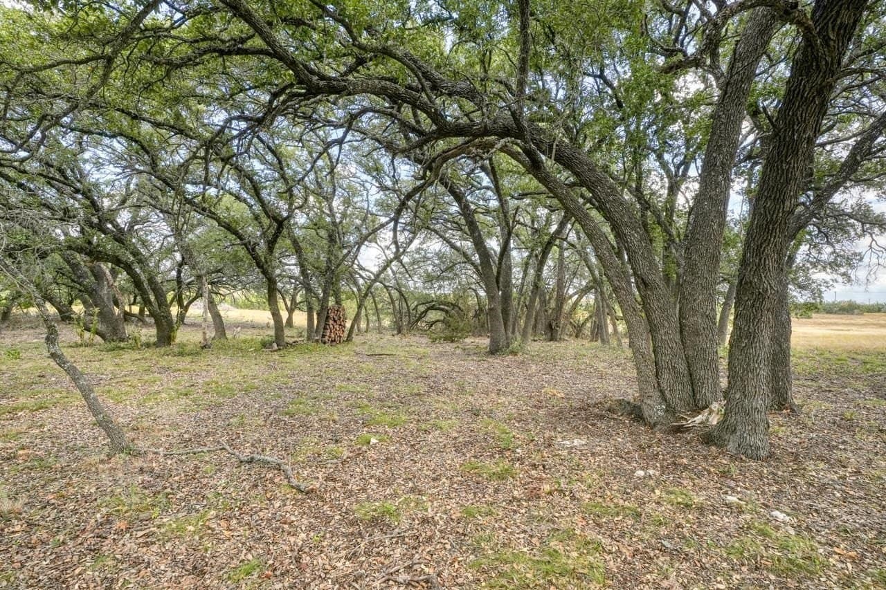 55 acres in Burnet County featured view