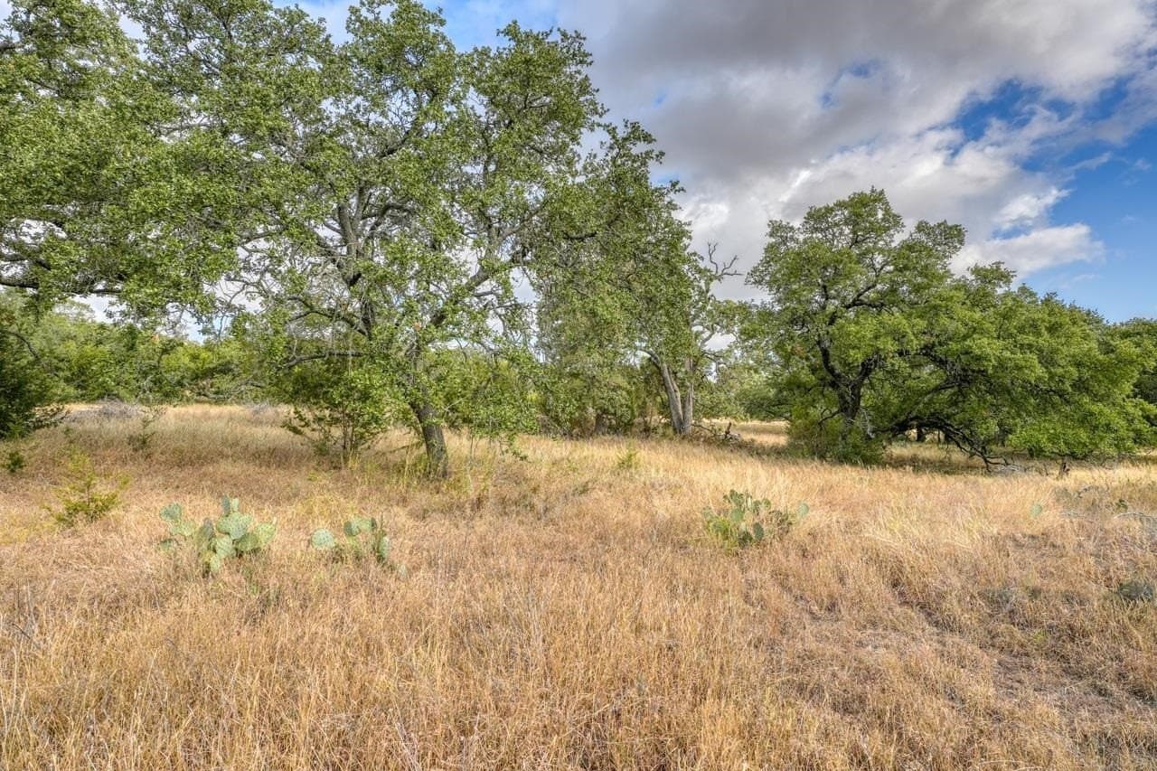 55.84 acres in Burnet County - photo 18