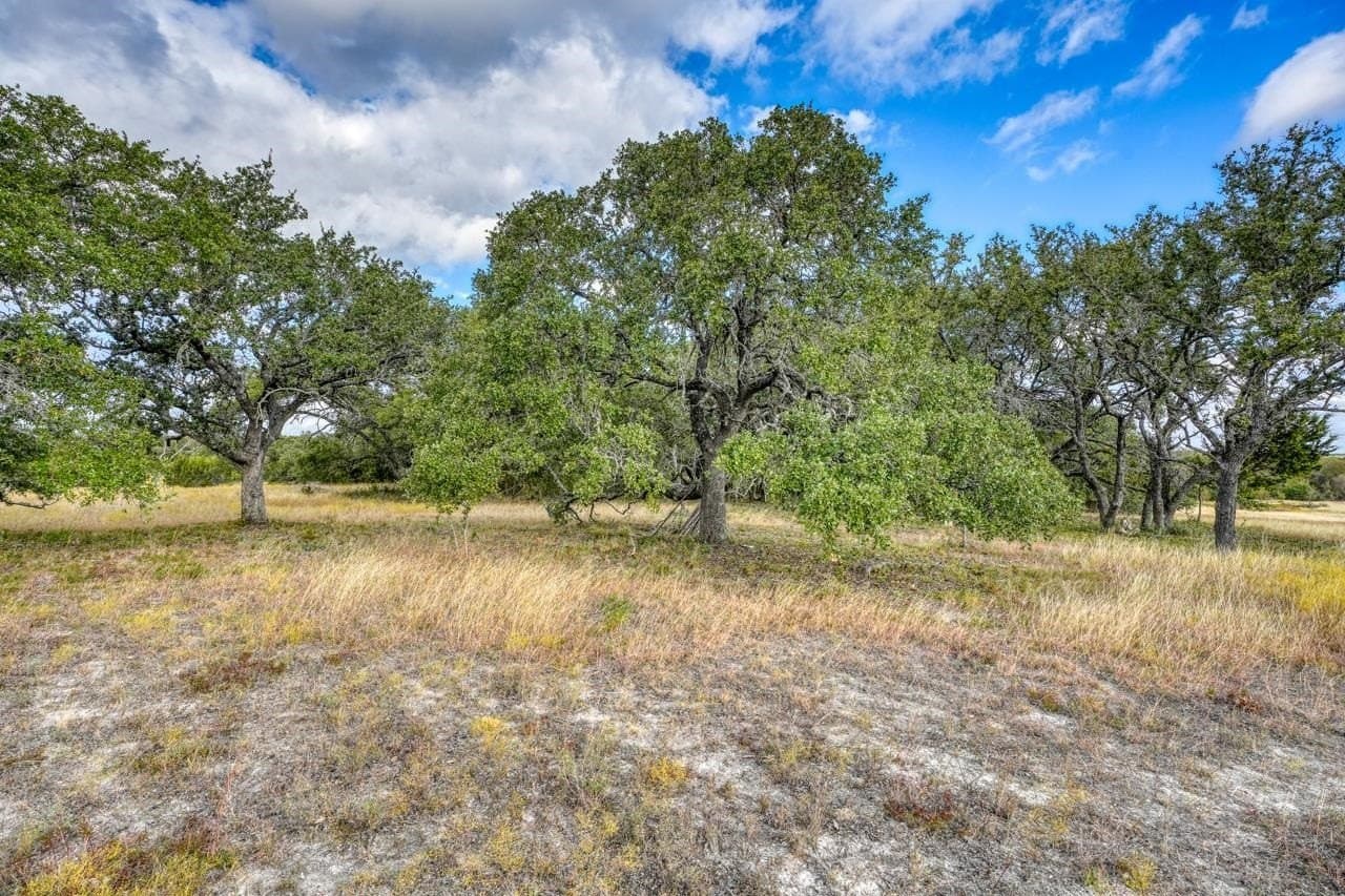 55.84 acres in Burnet County - photo 9