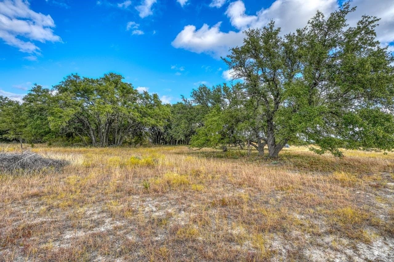 55.84 acres in Burnet County - photo 8