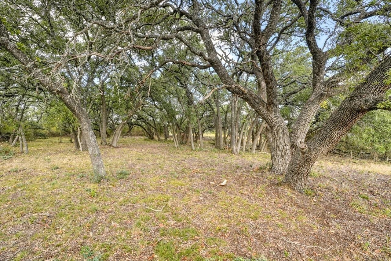 55 acres in Burnet County gallery image 4