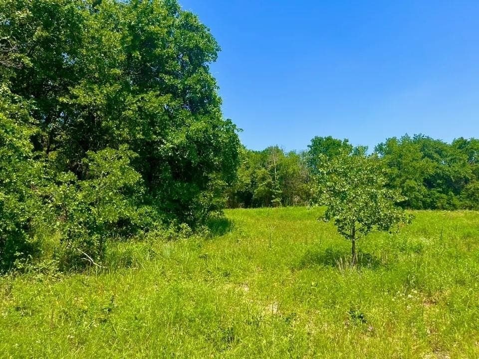 2.6 acres in Parker County