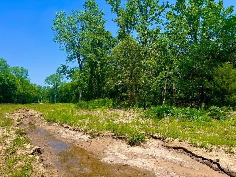 2.6 acres in Parker County gallery image 3
