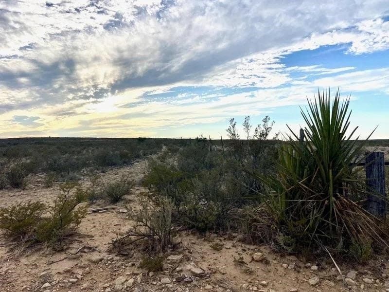 116 acres in Val Verde County gallery image 3