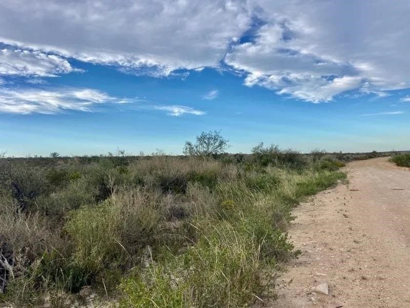 116 acres in Val Verde County featured view