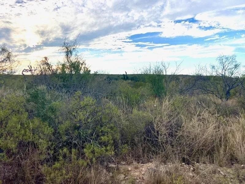 116 acres in Val Verde County gallery image 2