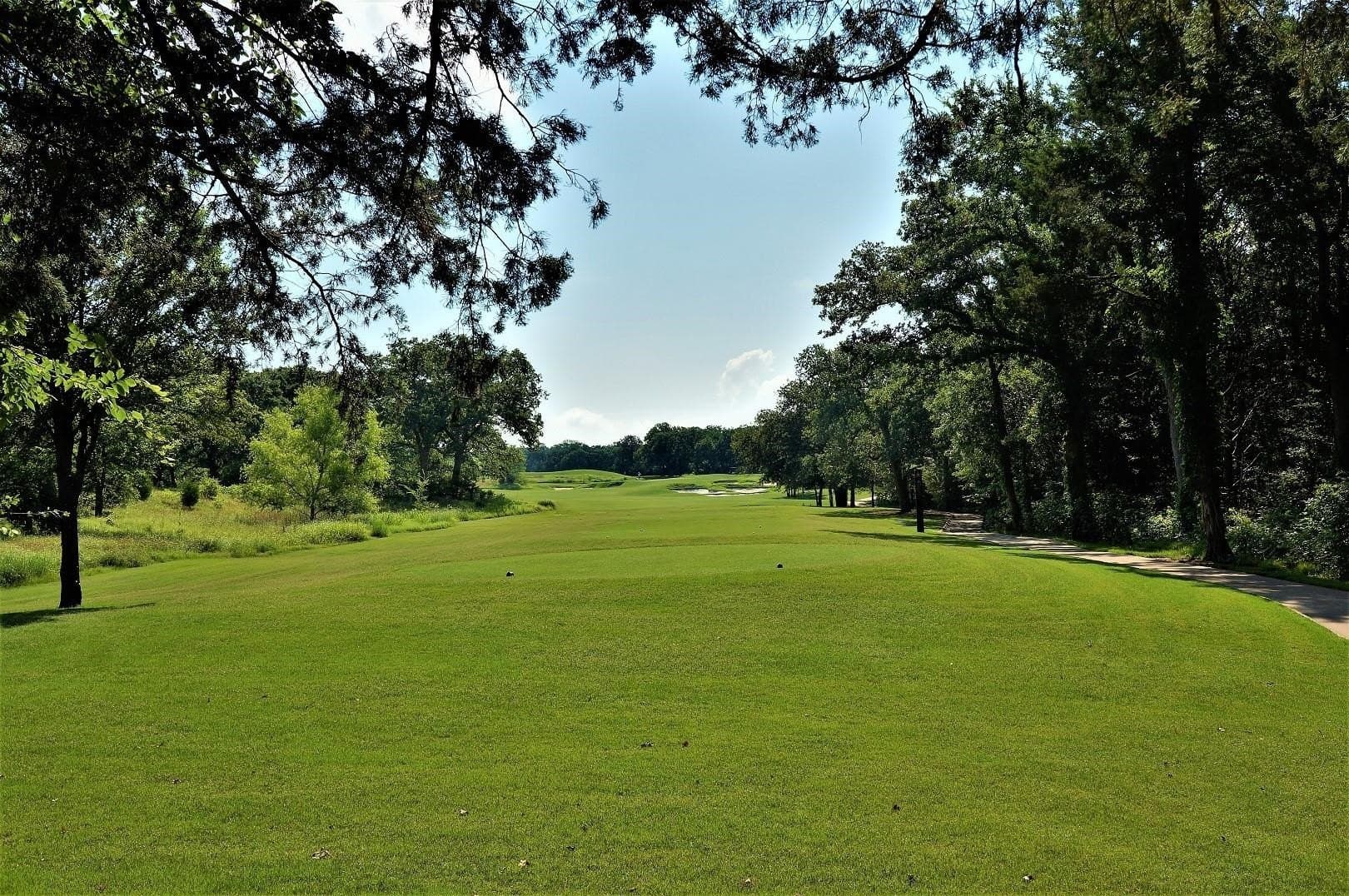 0.51 acres in Grayson County - photo 14