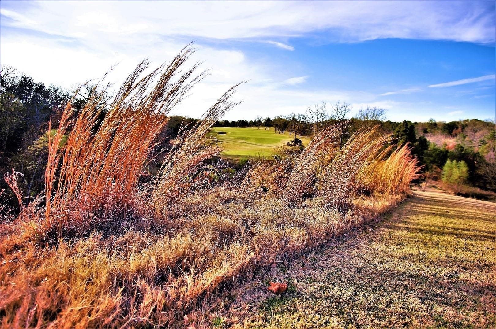 0.51 acres in Grayson County featured view