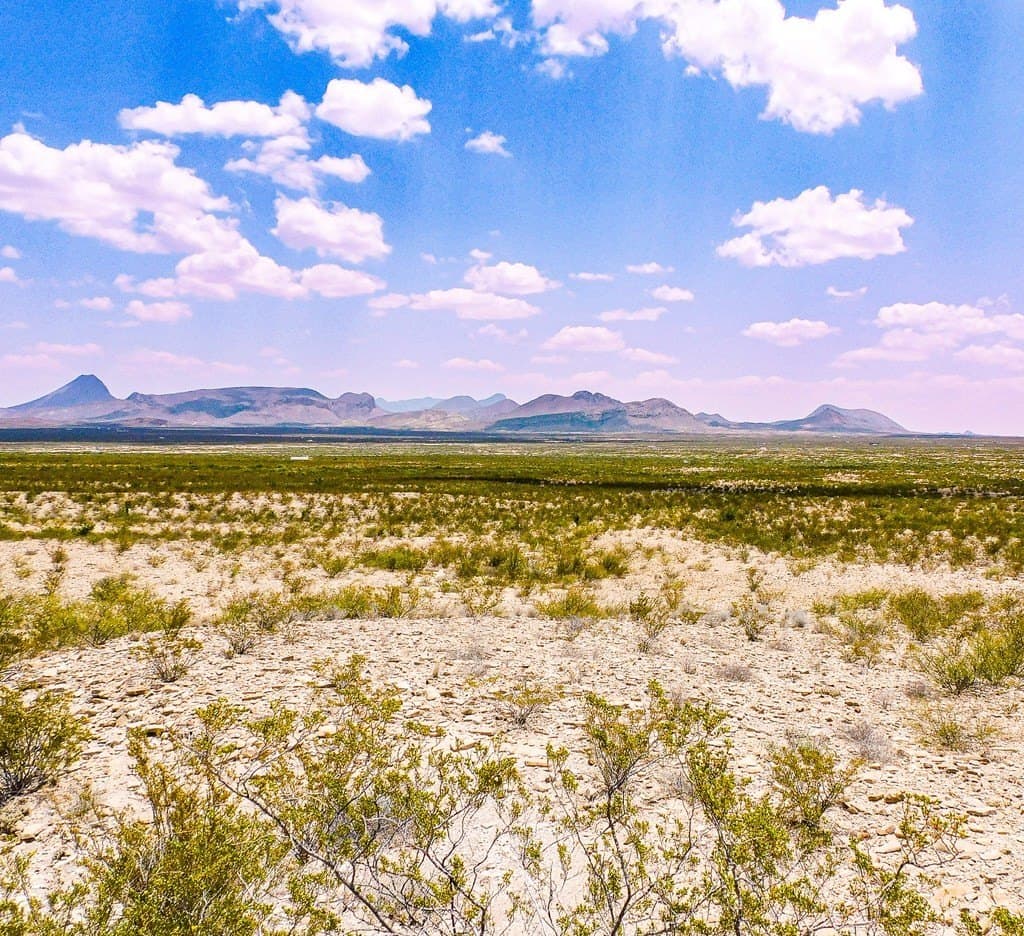 5 acres in Brewster County gallery image 4