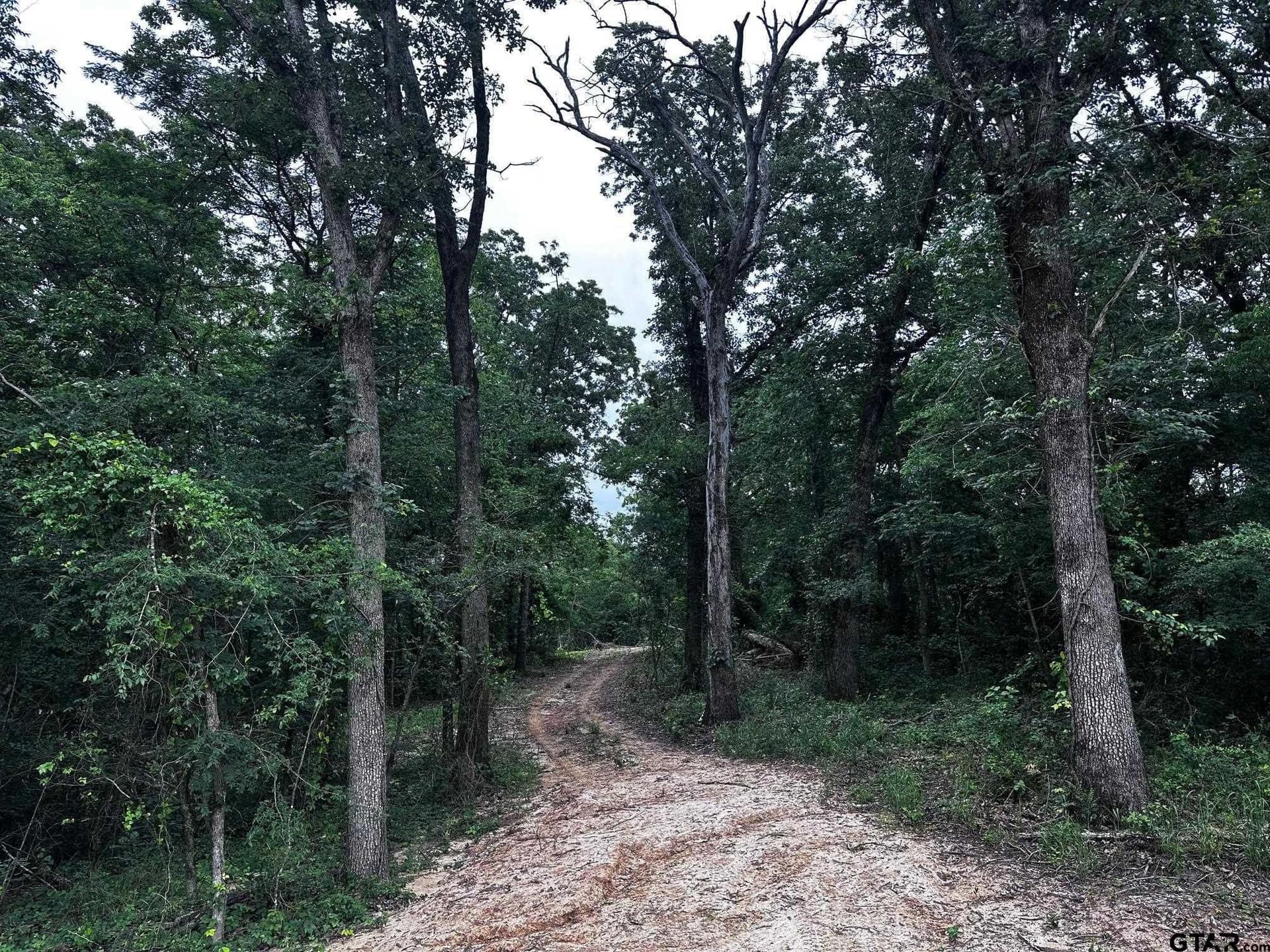10 acres in Van Zandt County gallery image 4