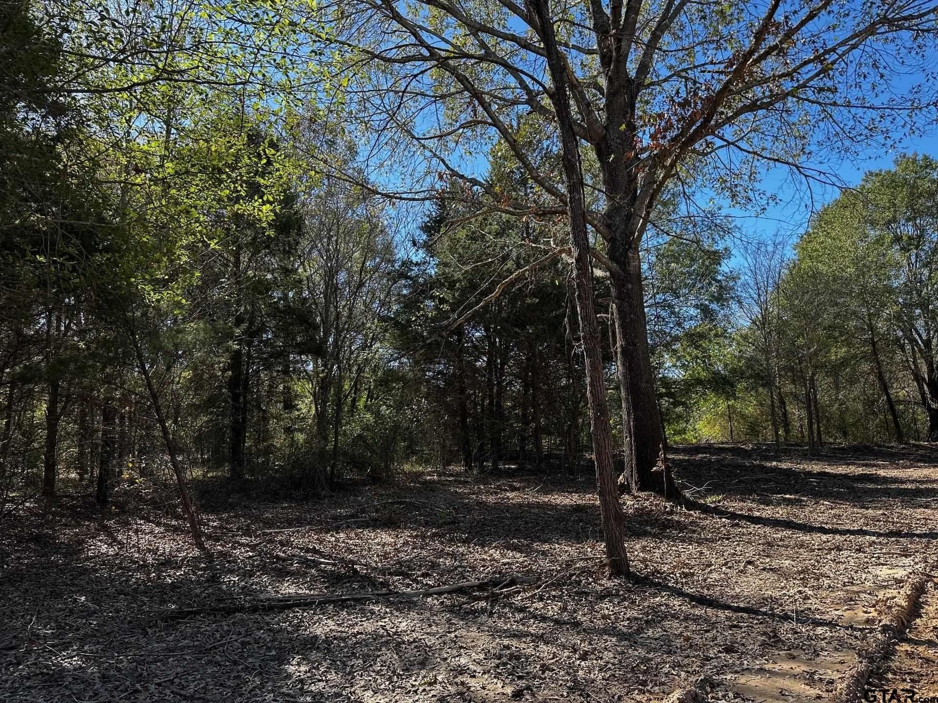 10 acres in Van Zandt County - photo 12