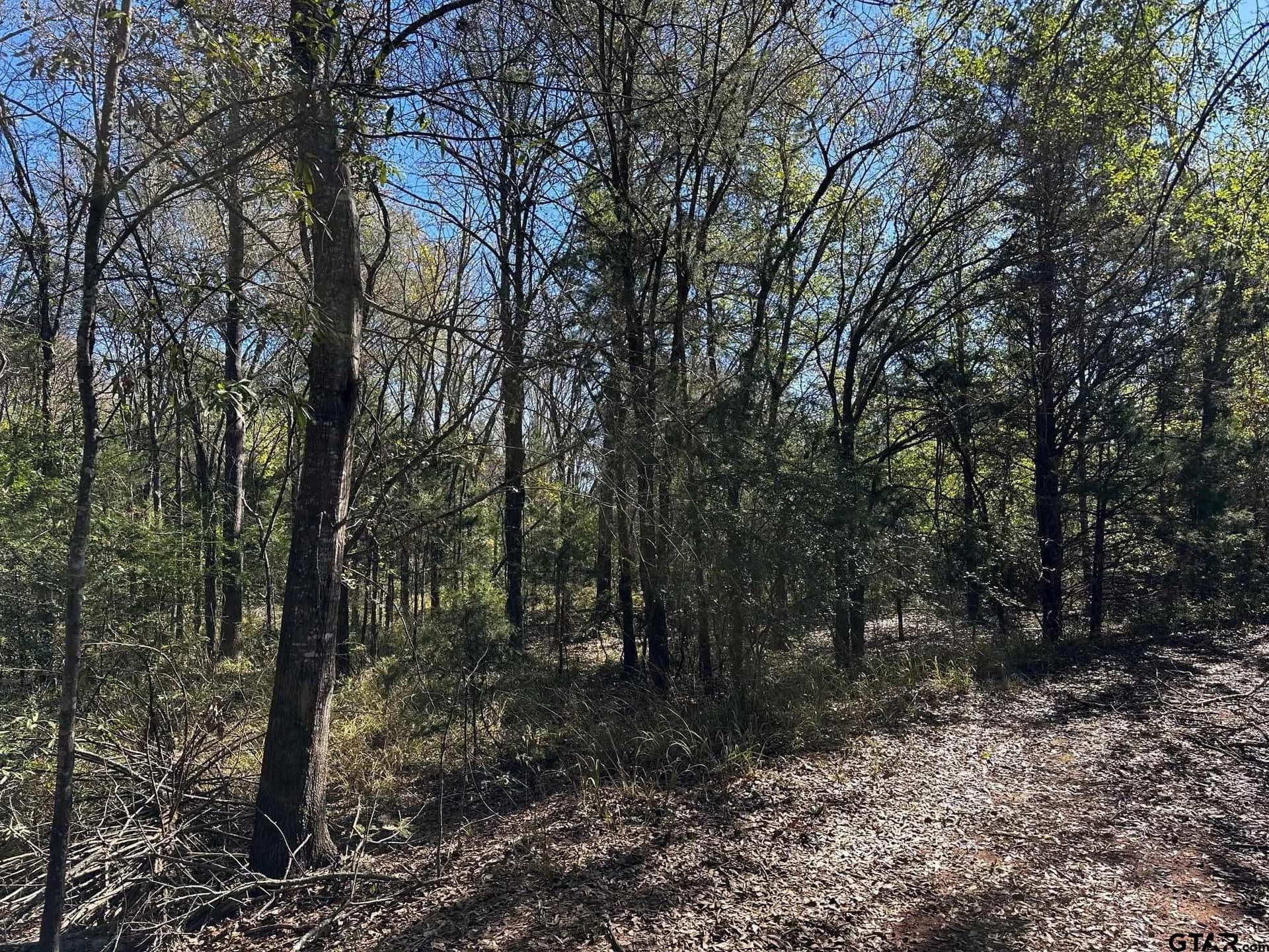 10 acres in Van Zandt County - photo 9